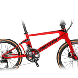 Shenzhen Factory Wholesales 20" /22inch Carbon Fiber Folding Bicycle Frame Folding Bike for Adults