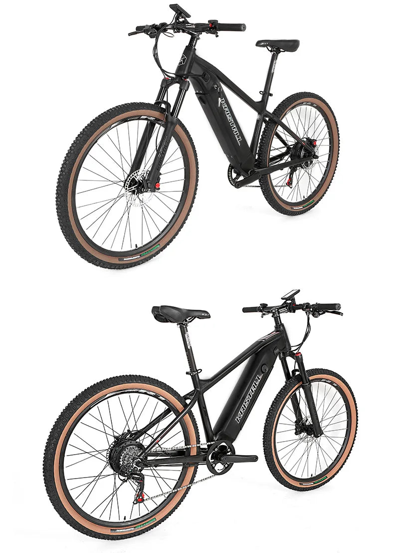TWITTER E300 Ebike Aluminium Electric Bike MTB Torque-48V350W10A (36V350W13A) Rear Hub Motor Electric Mountain Bicycle for Sale