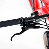 Customized  350W E Bike Motor Electric Bicycle Aluminum Alloy Frame  29er Mountain Bike