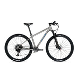Twutter Bicycle Factory WERNER 27.5 29 Inch Titanium Alloy Mountain Bike SX 12 Speed XC Level Disc Brake Mtb Mountain Bicycle