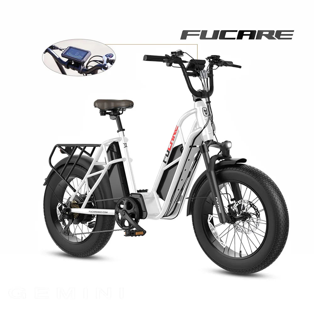 2023 Hot Sale 48v 750w Dual Battery Ebike Aluminum Alloy Electric Fat Tire Cargo Bicycle