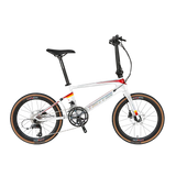 Twitter F451 Folding Bike Carbon Fiber 22 Speed Hybrid Disc Brake Foldable Bicycle