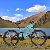 Bafang M600 Bicycle Electric Mountain Bike for Wholesales Full Suspension Electric Mountain Bike with Ce China Manufacturer
