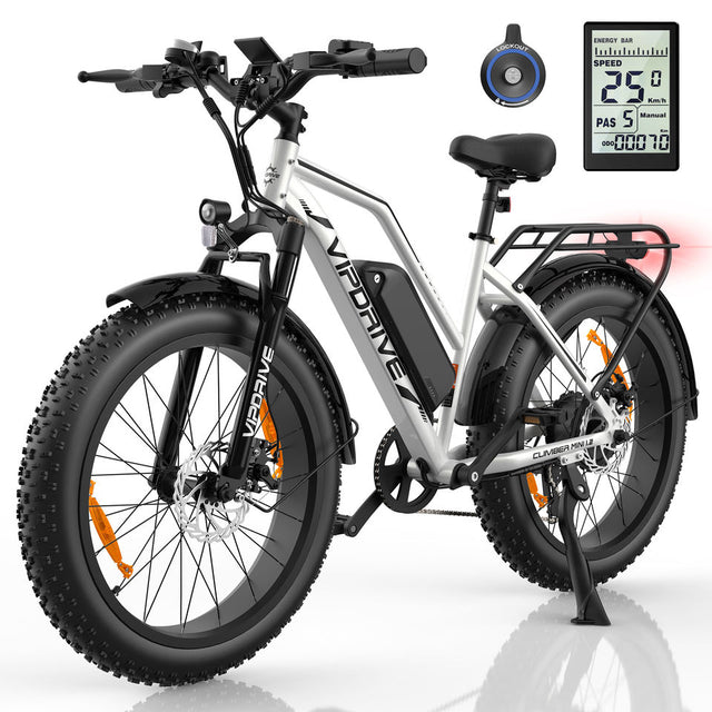 EU 500W 750W 45KPH Fast Electric Mountain Bike 24*4" Fat Tyre 48V 13AH Long Rang MTB EU Warehouse Females Step-Thru Ebike