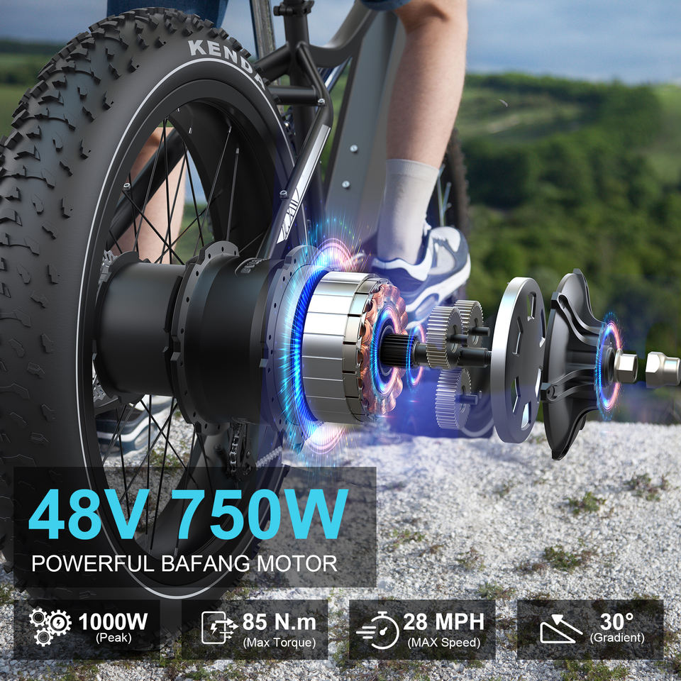 EU & USA Warehouse Stock Electric MTB 750W/1000W with Throttle 48V 15AH Long Range Fat Bike for Adults