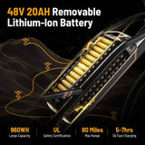 Elektro fahrrad für Erwachsene FX006 mit Motor, 48V 13AH Batterie Elektro fahrrad, 20 Zoll; Fat Tire Dirt Bike Cruise Control