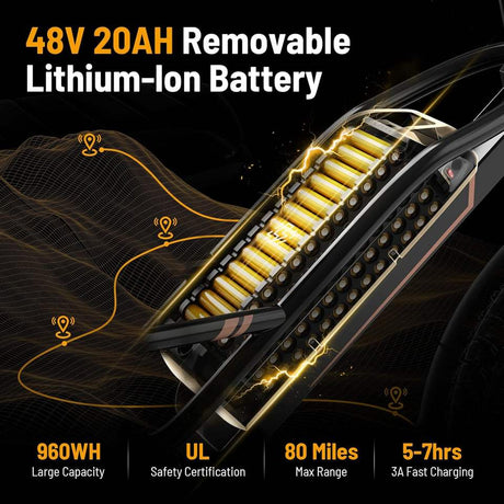 Elektro fahrrad für Erwachsene FX006 mit Motor, 48V 13AH Batterie Elektro fahrrad, 20 Zoll; Fat Tire Dirt Bike Cruise Control