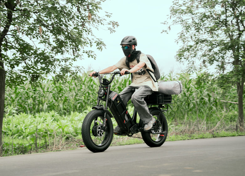 Eahora Juliet III 2000W Dual Motor 52V 60ah Battery 7-Speed Dual Brake Full Suspension 20*4.0 Fat Tire Electric Mountain Bike