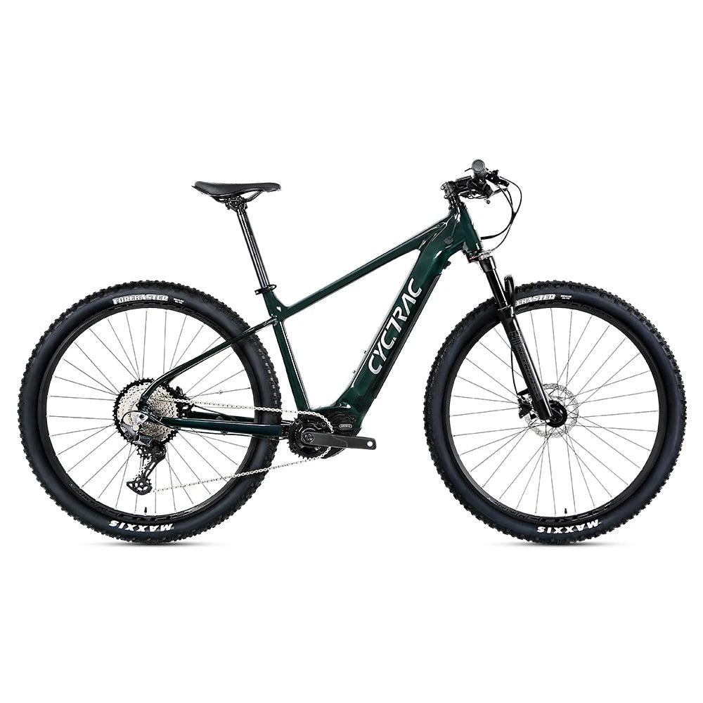 TWITTER Factory Direct Dirt Bike Mid Motor E-bikes 29 Inch Alu Alloy Frame Mountain Electric Hybrid Bike Off-road for Adult