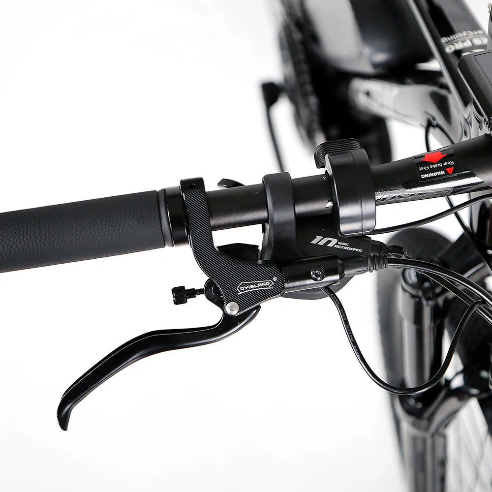 48V13A 750W-1000W  Bafang Mid Drive Motor  29er  Electric Mountain Bike Bicycle
