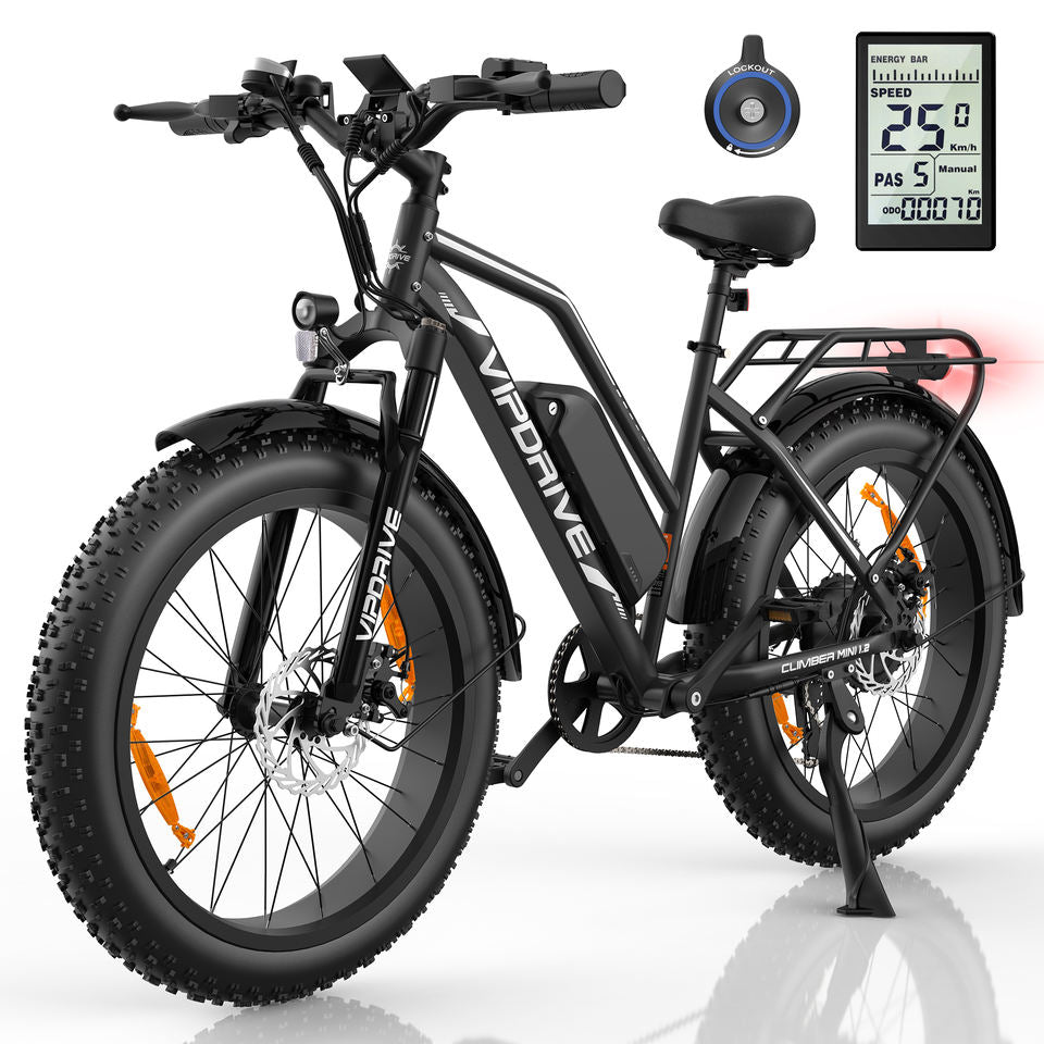 EU 500W 750W 45KPH Fast Electric Mountain Bike 24*4" Fat Tyre 48V 13AH Long Rang MTB EU Warehouse Females Step-Thru Ebike