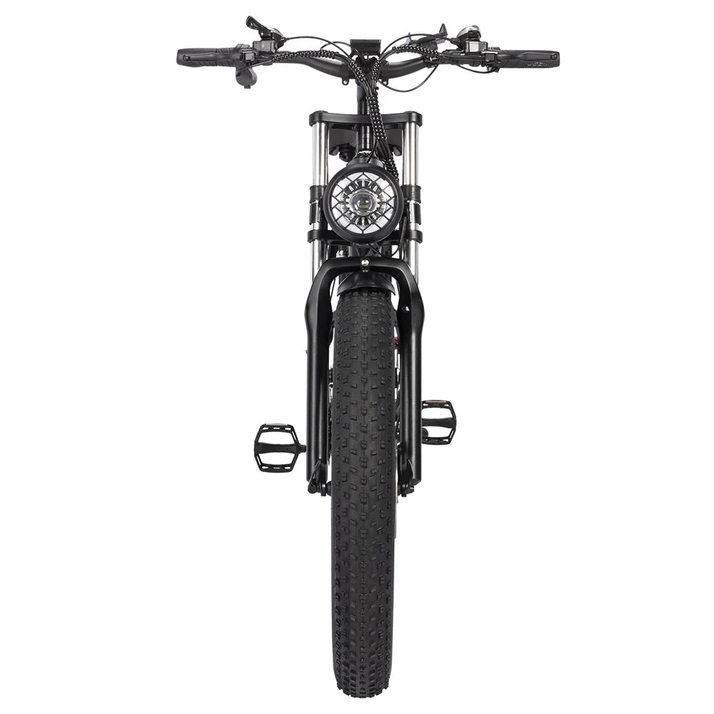 Ridstar H26 Pro Elektro fahrrad, 26*4,0 Zoll fette Reifen 1000W Motor 48V/20Ah Batterie 36mph Höchst geschwindigkeit 90km Reichw