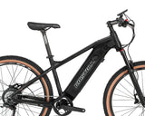 2022 Mtb Electric Internal Battery 350V / 500W Rear Motor Mtb 29er Ebike Mountainbike E Electric Bicycle