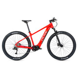 Wholesale 10 Speed Mid Bafang Motor Mountain Bike Electric Bicycle  36v Dropship
