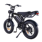MOQ 200 pcs China Factory OEM Customized Electric Mountain Bike 20*4.0 Fat Tires 250W Motor 48V 15.6Ah Battery Dual Seat 45km/h