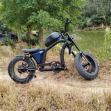 Mangosteen Chopper Electric Bike FT02 MINI 500W Motor 48V22.5AH Speed 25KM/H
