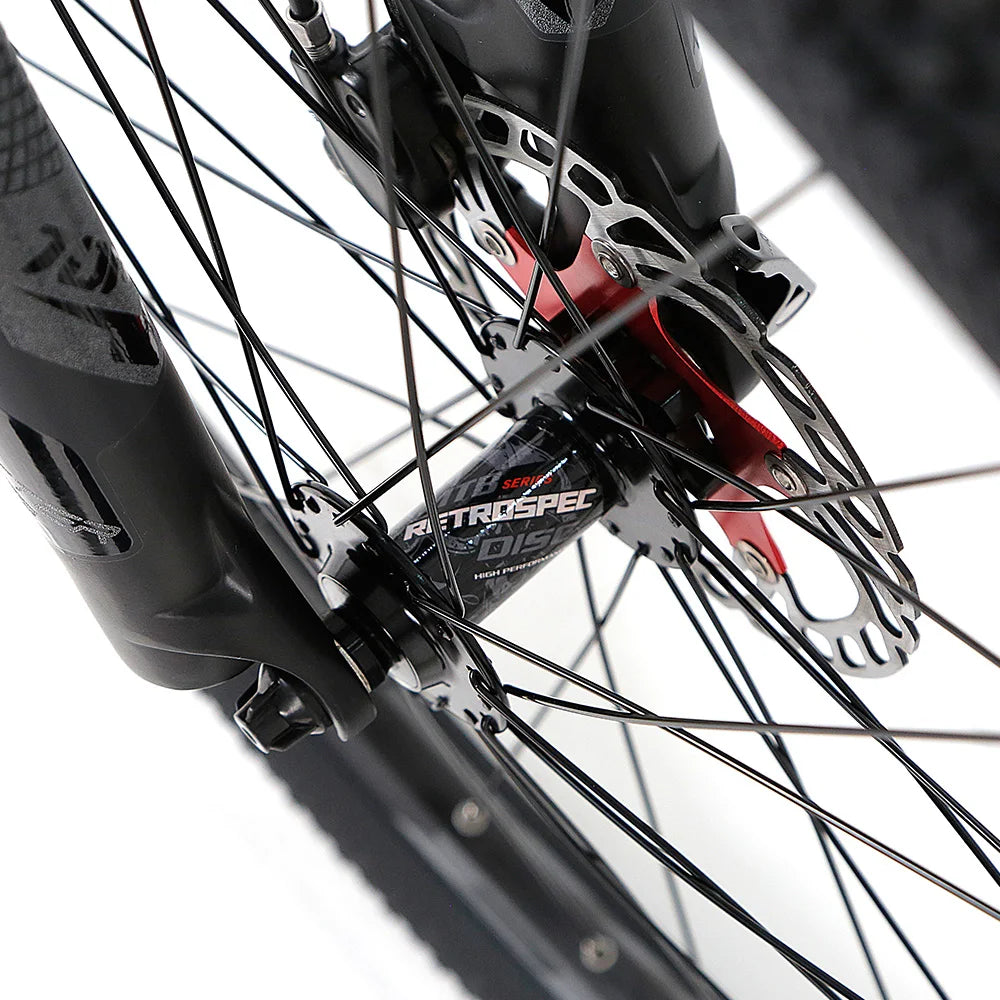 OEM 40KMH Carbon  Electric Bike Bicycle Bicicleta Electrica with Hidden Battery