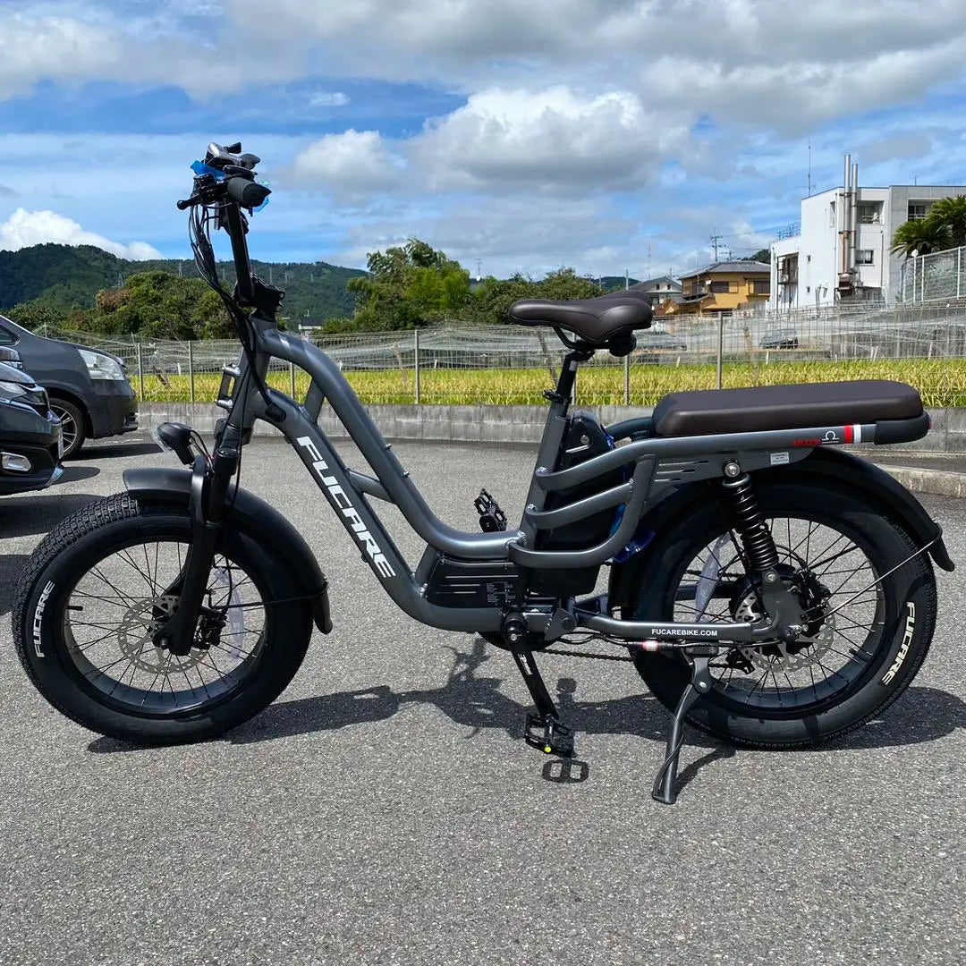 Wholesale 20-Inch Electric Bicycle Fat Tire Aluminum Alloy Frame Lithium Battery Hydraulic Brake System 7 Speed Step-Through E
