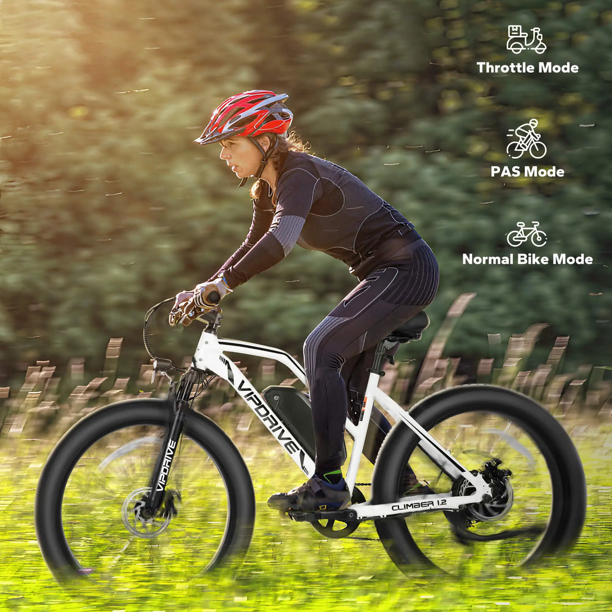 USA Stock 48V 13AH 500W 750W Fat Tire Mountain Ebike Multi Mode LCD Display Lights Led Sport Ebike for Sale
