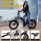 Fucare E-Bikes Gemini X Dual Battery 30AH 750W 48V Motor High Speed 100-120 Miles  Electric Bike for Adults