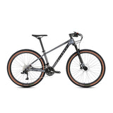 Factory Chinese Carbon Fiber MTB Bicicleta 29er Mountain Bike With 30 Speed