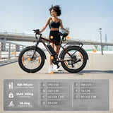 48V 13A Long Rang 24*4" Fat Tyre All Terrain Electric Mountain Bike Lockable Suspension 750W 45KPH Fast Ebike With Rear Rack