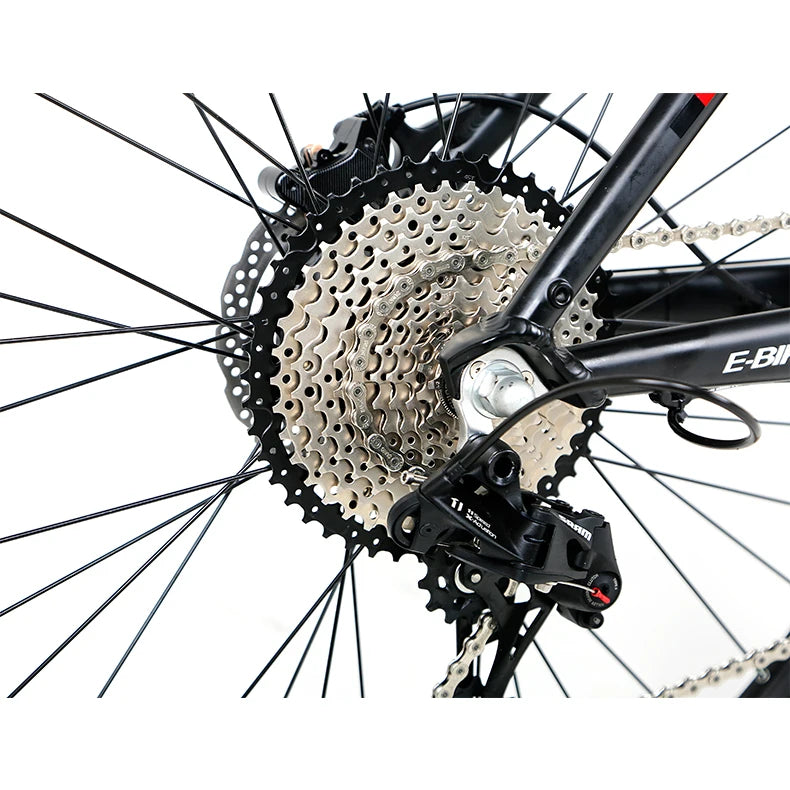 Wholesale E Bike E300  Electric Bike Hidden Battery Bicycle Price 29er Cycle Electric Bicycle Bicicletas Mountain E Bike
