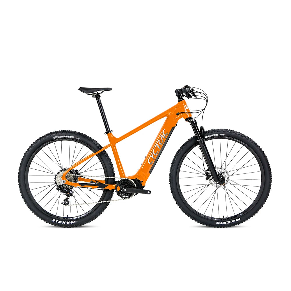2023 Newest E-bike 29 Er Electric Mountain Bike Alu Alloy Frame Bicycle Parts air Suspension Off-road Mtb Electric Dirt Bike