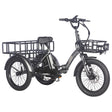 FAFREES F20 Mate 500W Motor Heavy Duty Ebike Electric Cargo Trike 180kg Capacity 110KM Range, Folding Design EU UK CN
