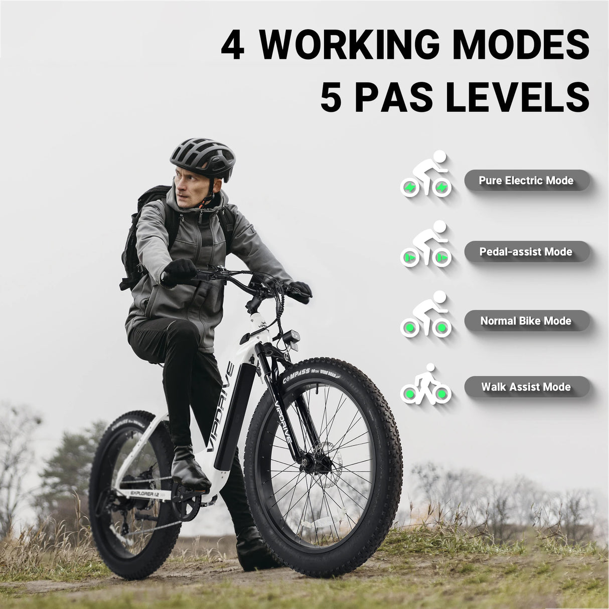 Vipdrive USA Warehouse Stock Drop Shipping Free Shipping 48V 15AH Best Battery Low Step Women 750W MTB Snow Beach Mountain Bike