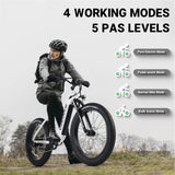 Vipdrive USA Warehouse Stock Drop Shipping Free Shipping 48V 15AH Best Battery Low Step Women 750W MTB Snow Beach Mountain Bike