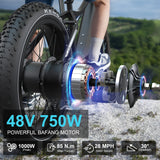 48V 15AH Fat Tire Electric Mountain Long Rang Bicycle 750W 1000W LCD Display Bafang Motor Sport Ebike for Adults Electrical Bike