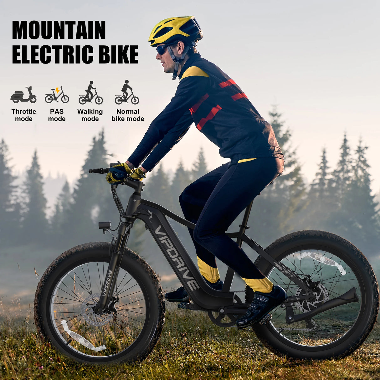 Vipdrive EU Stock Drop Shipping 750W Brushless Electric Snow Mountain Bike 48V 15AH Dual Lockable Susponsion MTB Fat Tire Ebike