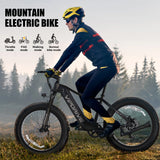 Vipdrive EU Stock Drop Shipping 750W Brushless Electric Snow Mountain Bike 48V 15AH Dual Lockable Susponsion MTB Fat Tire Ebike