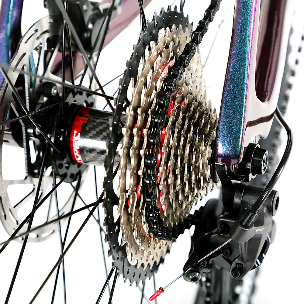 Fork Suspension Carbon Fiber 29 Inch Mountain Bike Mtb Bicycle with Hydraulic Brake