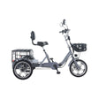 EU Warehouse 48V 350W 22Ah Lithium Battery 3-Wheel Tricycle Cargo Electric Bike with Disc Brake Foldable Brushless Motor