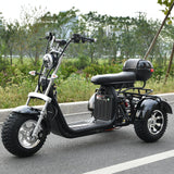 OEM ODM Custom Logo Available EHoodax 05WQ Electric Tricycle 18-Inch Fat Tire Closed Cargo Use 2000W Motor 30-50km/h 30-50km