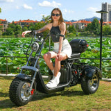 OEM ODM Custom Logo Available EHoodax 05WQ Electric Tricycle 18-Inch Fat Tire Closed Cargo Use 2000W Motor 30-50km/h 30-50km