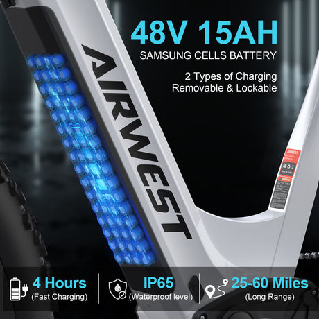 EU Warehouse Stock 750W BAFANG Brushless Motor Low Step Women Electric Snow Beach Mountain Bike 15AH 48V Integrated Adults Ebike