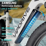 Vipdrive USA Warehouse Stock Drop Shipping Free Shipping 48V 15AH Best Battery Low Step Women 750W MTB Snow Beach Mountain Bike