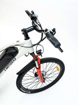 Emotorad EMX Fat Tire Electric Bike 36V 250W 10.4ah 55-70km Range 25km/h Speed 27.5*2.1 MT Bike Aluminium Alloy Frame Brushless