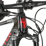 Factory Chinese Carbon Fiber MTB Bicicleta 29er Mountain Bike With 30 Speed