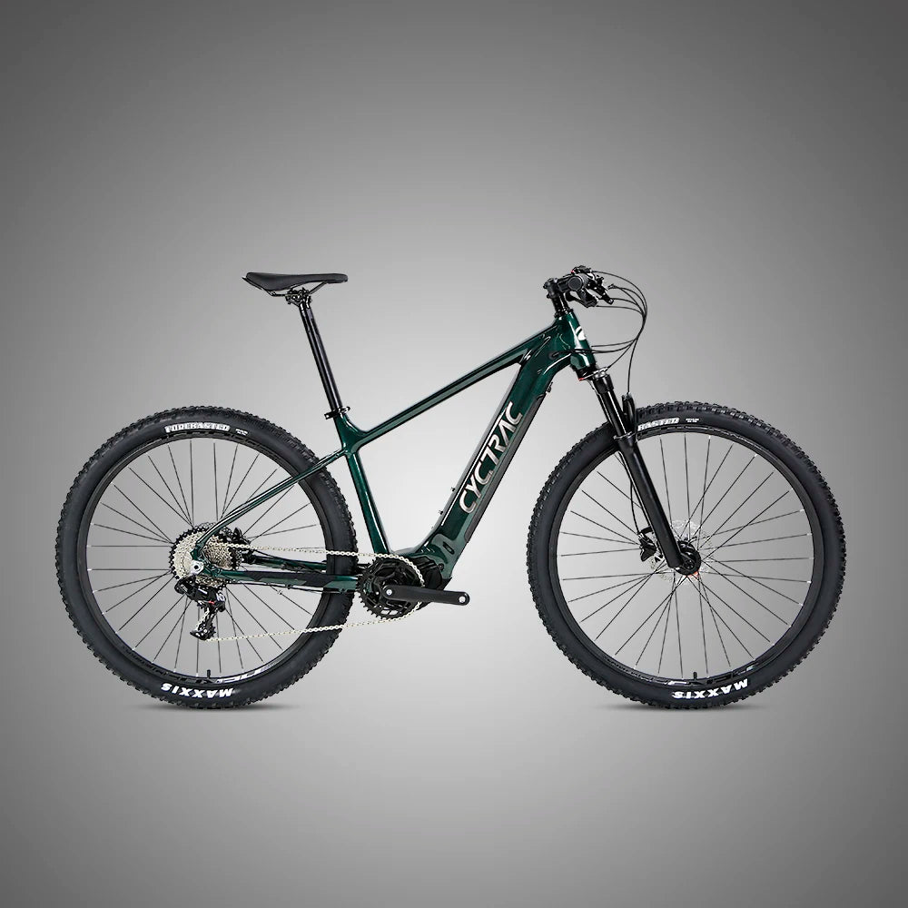 Elektrisches Fahrrad Electric E Bike Electric Bicycle Ebike Cycle Electric Bike Bafang Mid Fat Tire Dirt Mountain Bike
