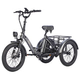 FAFREES F20 Mate 500W Motor Heavy Duty Ebike Electric Cargo Trike 180kg Capacity 110KM Range, Folding Design EU UK CN