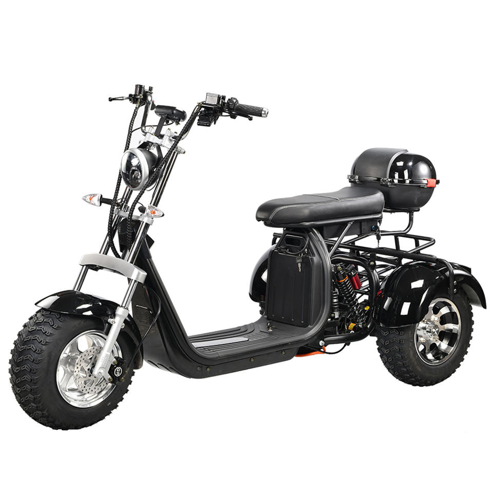 OEM ODM Custom Logo Available EHoodax 05WQ Electric Tricycle 18-Inch Fat Tire Closed Cargo Use 2000W Motor 30-50km/h 30-50km