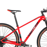 2021 New Design Factory Price Carbon MTB  Bicycle 29inch  Thru Axle 148  Carbon Frame Carbon Mountain Bike