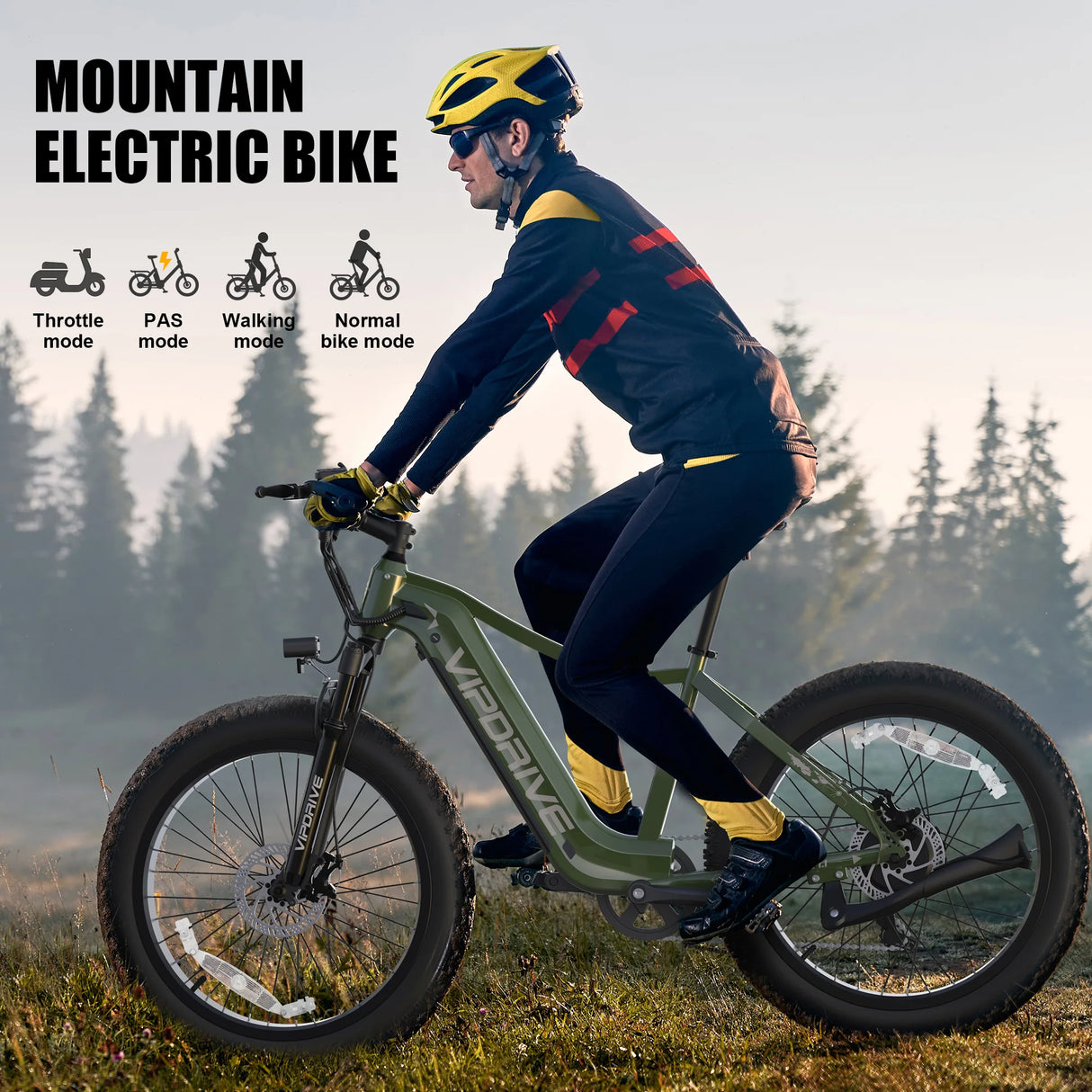 Vipdrive US Warehouse Drop Shipping 26" Fat Tire Ebike 48V 15AH Best Battery Dual Susponsion MTB Electric Snow Beach Bicycle