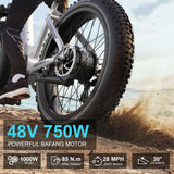 EU Warehouse Stock 750W BAFANG Brushless Motor Low Step Women Electric Snow Beach Mountain Bike 15AH 48V Integrated Adults Ebike