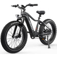EU & USA Warehouse Stock Electric MTB 750W/1000W with Throttle 48V 15AH Long Range Fat Bike for Adults