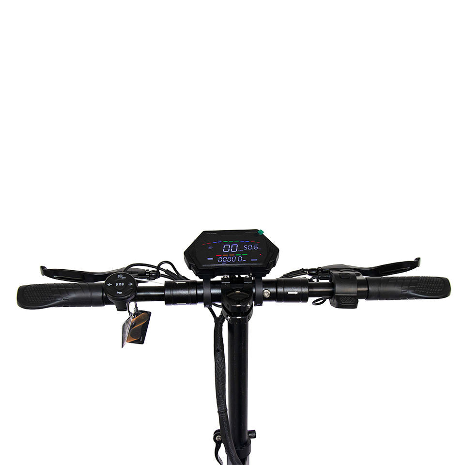 Vican L12 Max 48V 16Ah 800W Electric Scooter 10 Inch Road Tire Dual Brake Duane Suspension EU Stock 150kg Capacity 35-45km/h Max